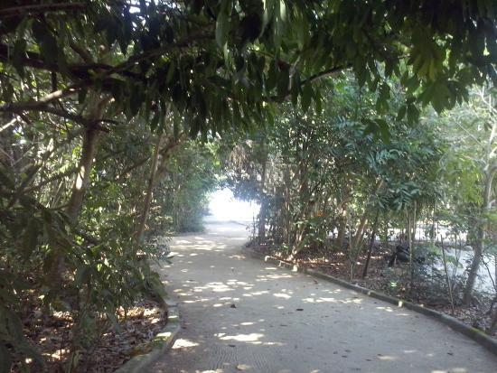 Parque Natural Municipal de Marapendi